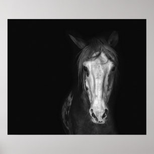 Modern Black White Horse Dramatic ポスター