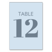 Modern Bold Typography Soft Blue Bat Mitzvah テーブルナンバー (裏面)