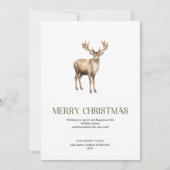 Modern Christmas Deer Sage Ivory Elegant Script シーズンカード (正面)
