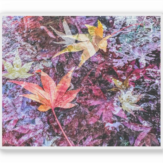 Modern Colorful Fallen Leaves Abstract シール (正面)