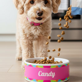 Modern Colorful Retro Geometric Ceramic Pet Bowl ボウル