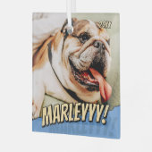 Modern Comic Simple Cool Custom Pet Photo ガラスオーナメント (正面左)