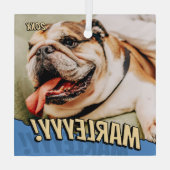 Modern Comic Simple Cool Custom Pet Photo ガラスオーナメント (裏面)