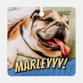 Modern Comic Simple Cool Custom Pet Photo メタルオーナメント (裏面)