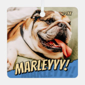 Modern Comic Simple Cool Custom Pet Photo メタルオーナメント (正面)