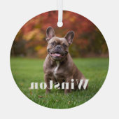 Modern Custom Pet Name Photo Holiday ガラスオーナメント (裏面)