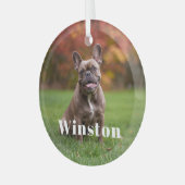 Modern Custom Pet Name Photo Holiday ガラスオーナメント (正面左)