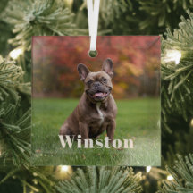 Modern Custom Pet Name Photo Holiday