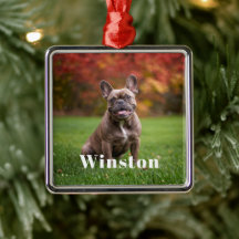 Modern Custom Pet Name Photo Holiday