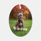 Modern Custom Pet Name Photo Holiday メタルオーナメント (正面左)