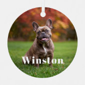 Modern Custom Pet Name Photo Holiday メタルオーナメント (正面)
