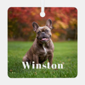 Modern Custom Pet Name Photo Holiday メタルオーナメント (裏面)