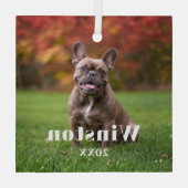 Modern Custom Pet Name Year Photo Holiday ガラスオーナメント (裏面)
