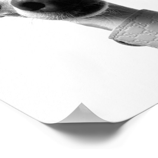 Modern Custom Pet Photo | Meeko ポスター (角)