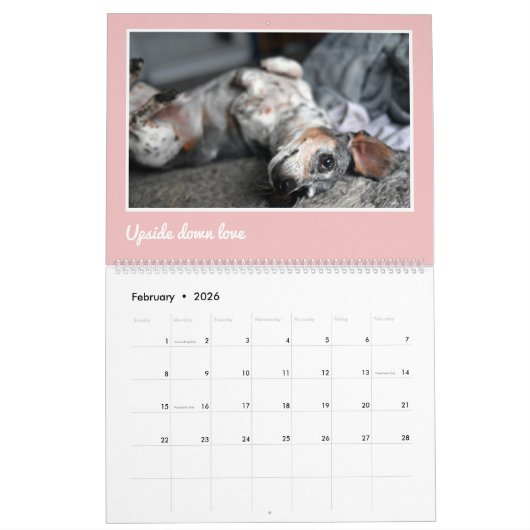 Modern Cute Dachshund Custom Pet Photos カレンダー (2月 2026)