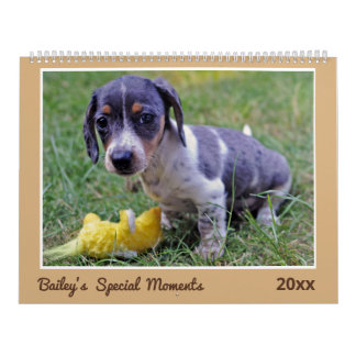 Modern Cute Dachshund Custom Pet Photos  カレンダー