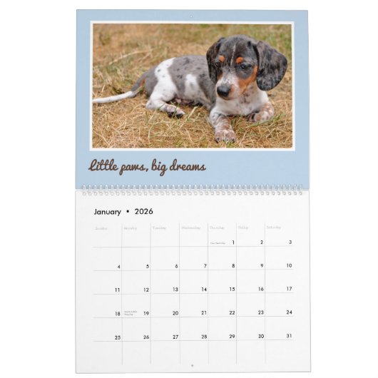 Modern Cute Dachshund Custom Pet Photos  カレンダー (1月 2026)