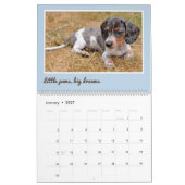 Modern Cute Dachshund Custom Pet Photos カレンダー (1月 2027)