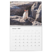 Modern Cute Funny Pet Kitten Cat Photos Calendar カレンダー (1月 2027)