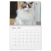 Modern Cute Funny Pet Kitten Cat Photos Calendar カレンダー (2月 2027)