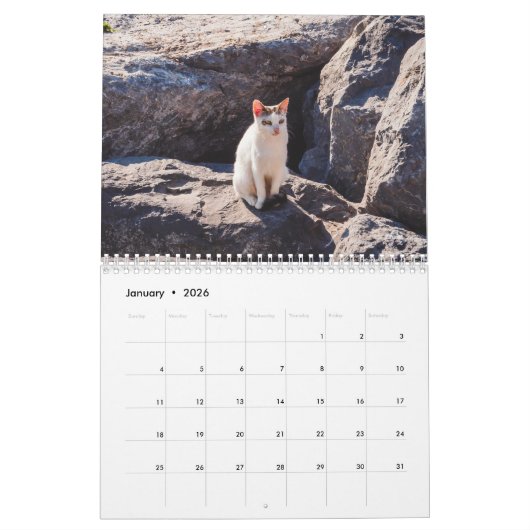 Modern Cute Funny Pet Kitten Cat Photos Calendar カレンダー (1月 2026)