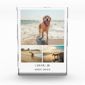 Modern Dog Keepsake Cute Personalized Pet Collage フォトブロック (正面)