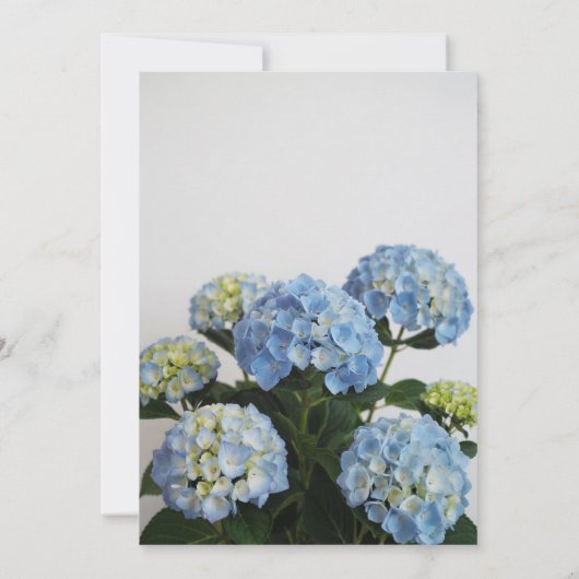 Modern Elegant Blue Hydrangea Bridal Shower 招待状 (裏面)