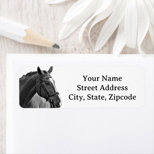 Modern Horse Black and White Equestrian ラベル (インサイチュ)
