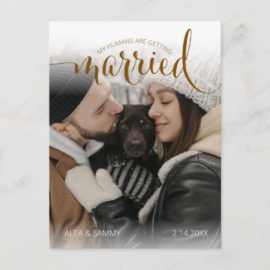 Modern Humans Getting Married Pet Photo Engagement ポストカード (正面)