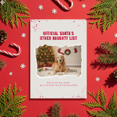 Modern Humor Funny Dog Photo Christmas シーズンカード