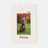 Modern Ivory Custom Pet Name Photo メタルオーナメント (正面左)