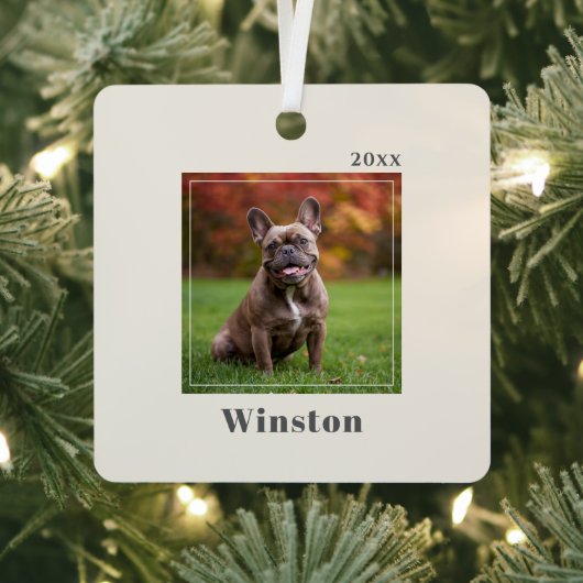 Modern Ivory Custom Pet Name Photo メタルオーナメント (インサイチュ)
