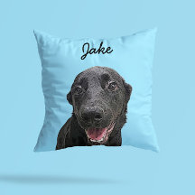 Modern Labrador Retriever Illustration | Add Name