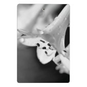 Modern Minimalist Black & White Flower with ursign ミニクリップボード (裏面)