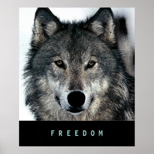 Modern Motivational Freedom Wolf Poster Print ポスター