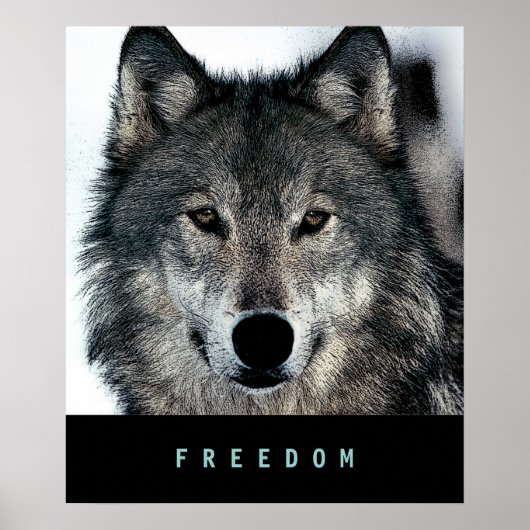 Modern Motivational Freedom Wolf Poster Print ポスター (正面)