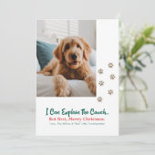 Modern Naughty Funny Dog Pet Photo Christmas シーズンカード (スタンド正面)