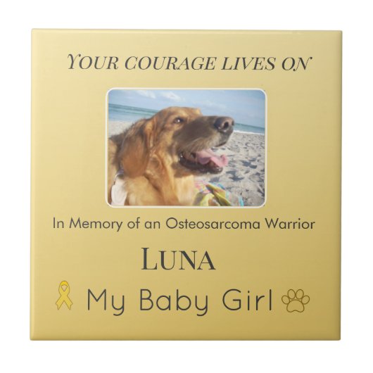 Modern Osteosarcoma Pet Tribute タイル (正面)