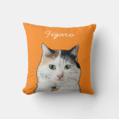 Modern Persian Cat Illustration | Add Name  クッション (正面)