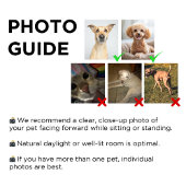 Modern Pet Photo + Name | Dog Dad Cat Mom Gift クッション