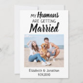 Modern Photo Dog Wedding セーブザデート (正面)