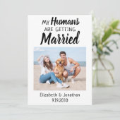 Modern Photo Dog Wedding セーブザデート (スタンド正面)