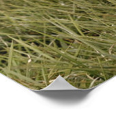 Modern Photo Welcome Sign With Arched Text ポスター (角)