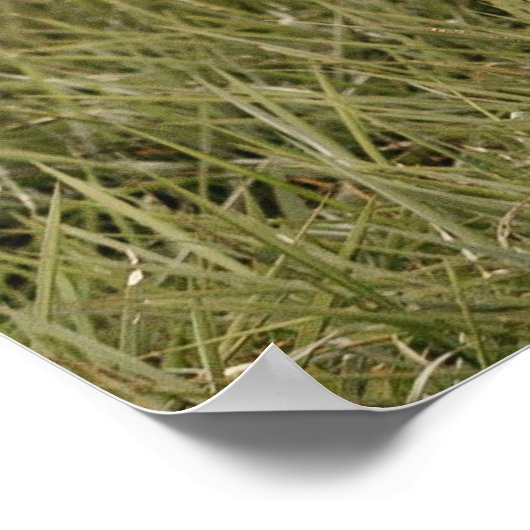 Modern Photo Welcome Sign With Arched Text ポスター (角)