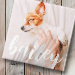 Modern Playful Simple Elegant Chic Pet Photo マグネット<br><div class="desc">This simple and classic design is composed of serif typography and add a custom photo of your pet.</div>