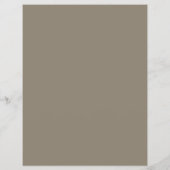 Modern Professional Designer Taupe Promotional チラシ (裏面)