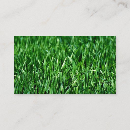 Modern Professional Lawn Care Gardener Services 名刺 (裏面)