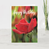 Modern Red Rose Birthday Card カード (正面)
