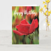 Modern Red Rose Birthday Card カード (黄色い花)