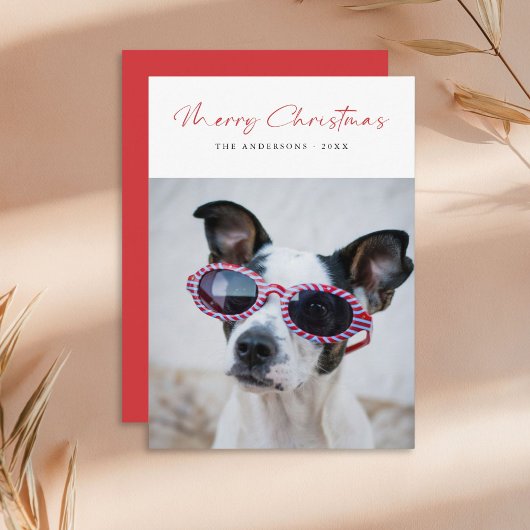 Modern Script Funny Dog Photo Family Christmas Red シーズンカード